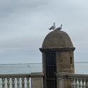 IMG_0285
