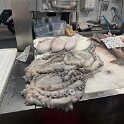 IMG_0312