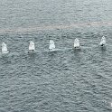 IMG_0341