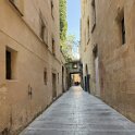 IMG_0445