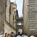 IMG_0695