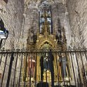 IMG_0781