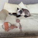 IMG_0825