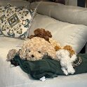 IMG_0826